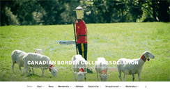 Desktop Screenshot of canadianbordercollies.org